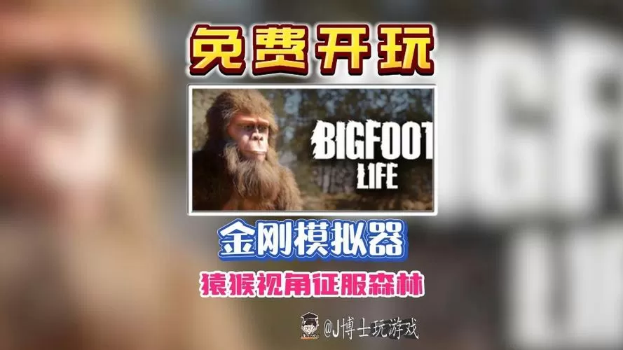 金刚模拟器下载图标