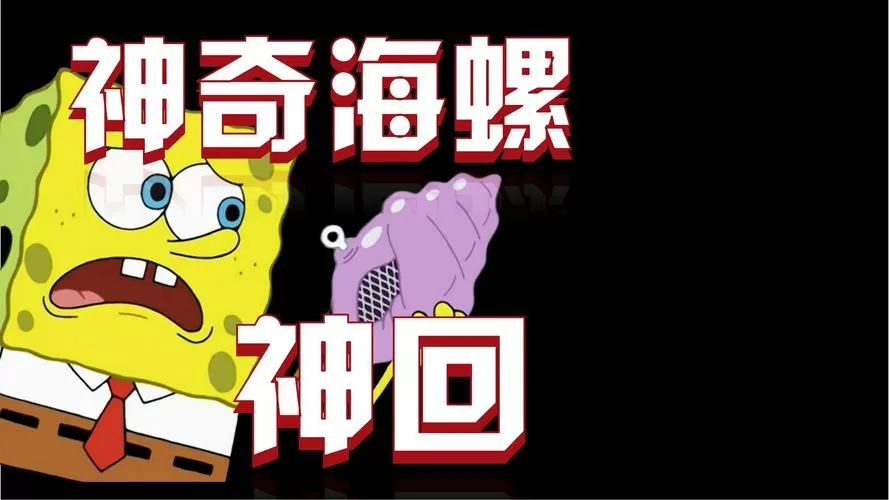 不如问问神奇的海螺吧