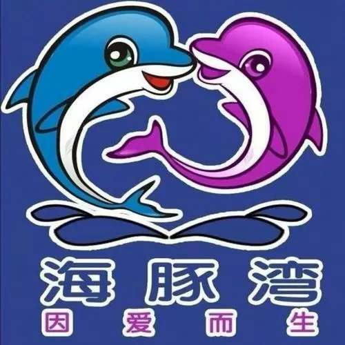 海豚湾客户端图标