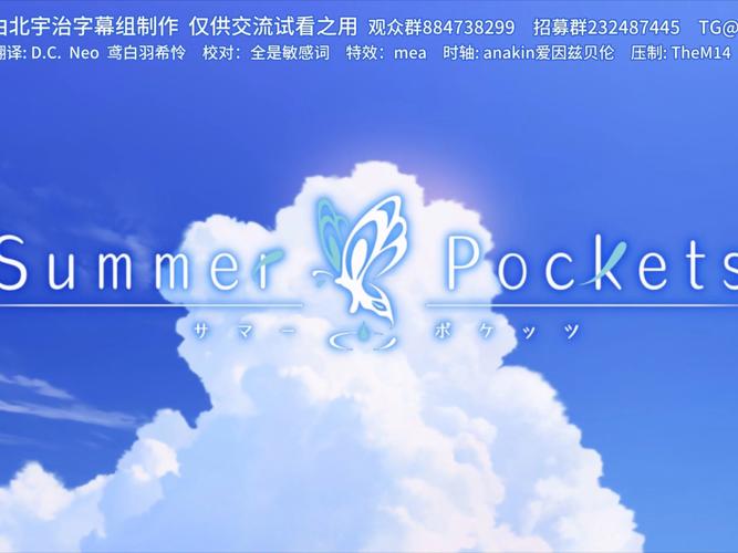 夏日口袋图标