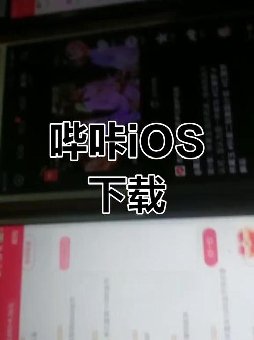 哔咔哔咔ios版安装教程