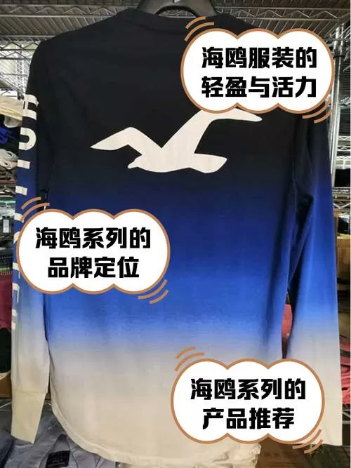 小海鸥标志衣服是什么牌子
