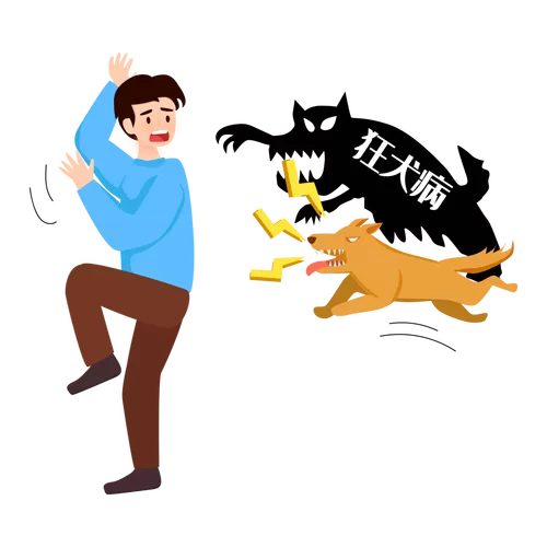 狂犬病毒感染率高吗图标