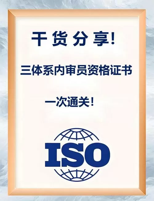 三体系审核员太难干了图标