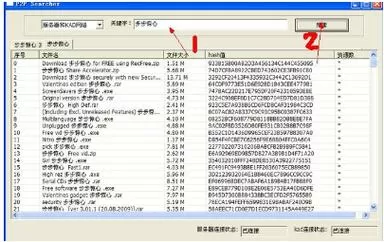 p2p搜索神器