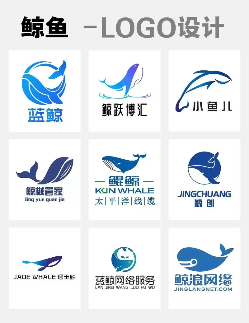 鲸采图标