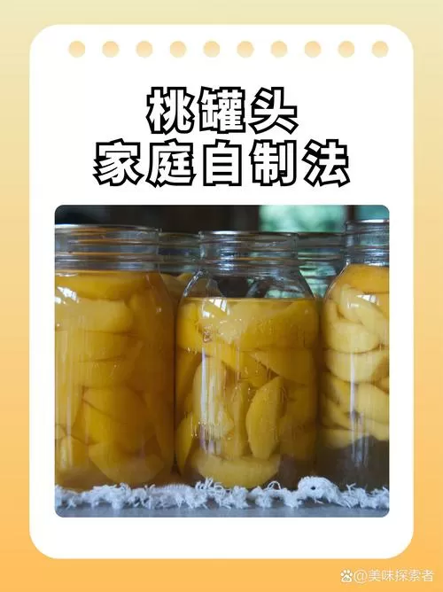 自制桃罐头的做法蒸图标