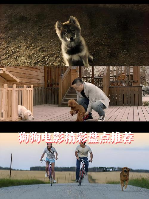 影视狗