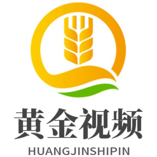 金影视图标