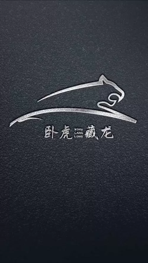 卧虎藏龙解析图标