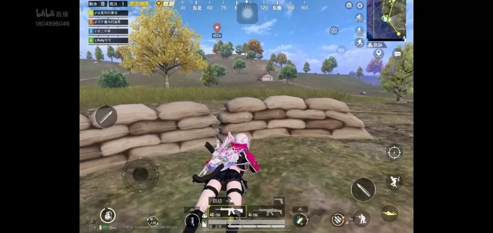 和平精英mod经典版