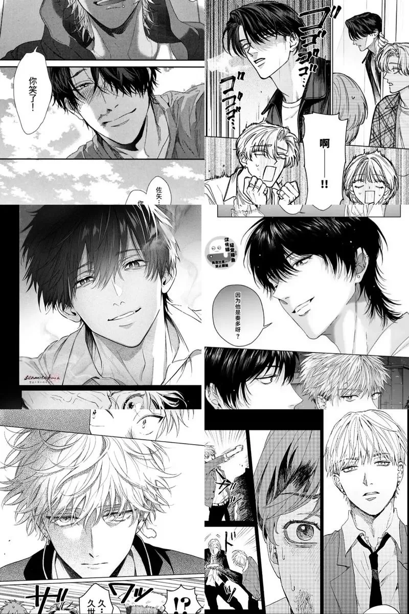 boylove腐味满满