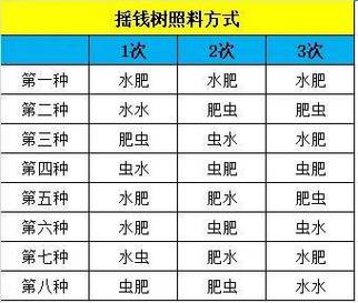 摇钱树苗攻略几水几肥