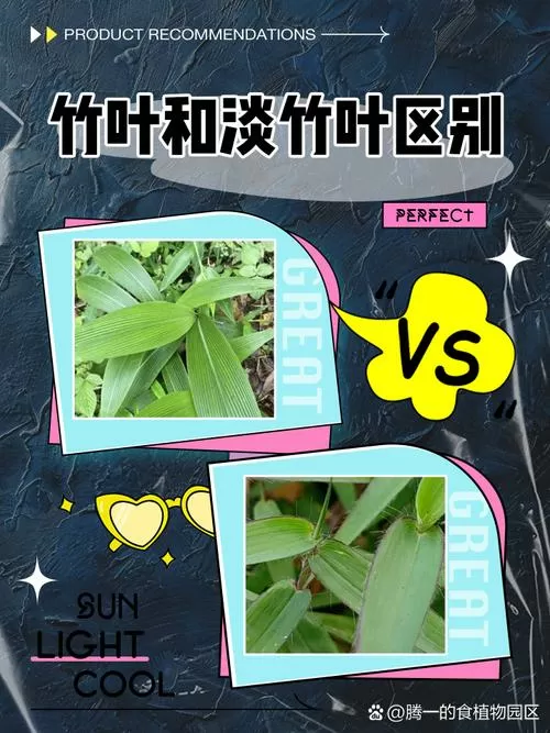 竹叶跟淡竹叶的区别图标