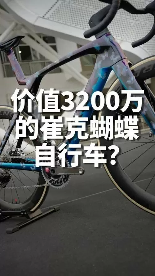 蝴蝶自行车真实价格图标