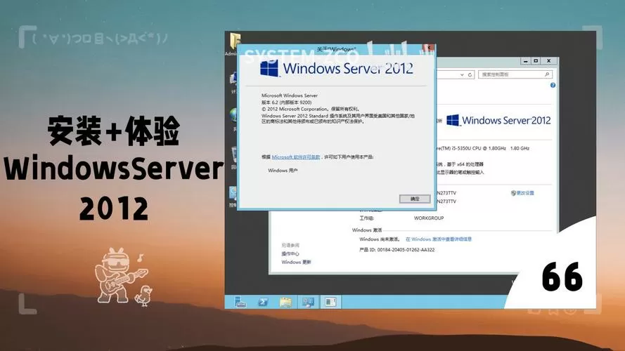 server2012只进入cmd免费观看