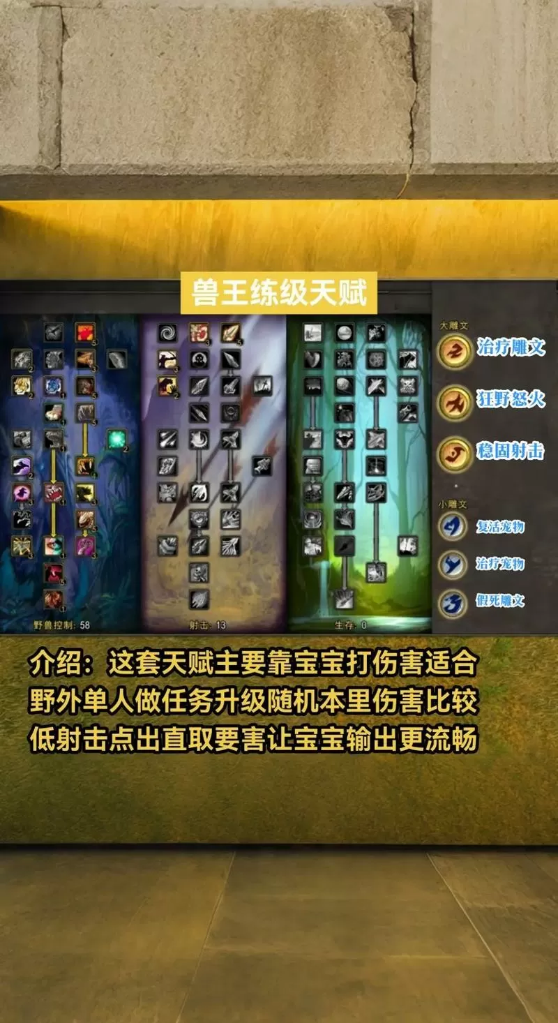 wlk兽王宝宝天赋加点图标