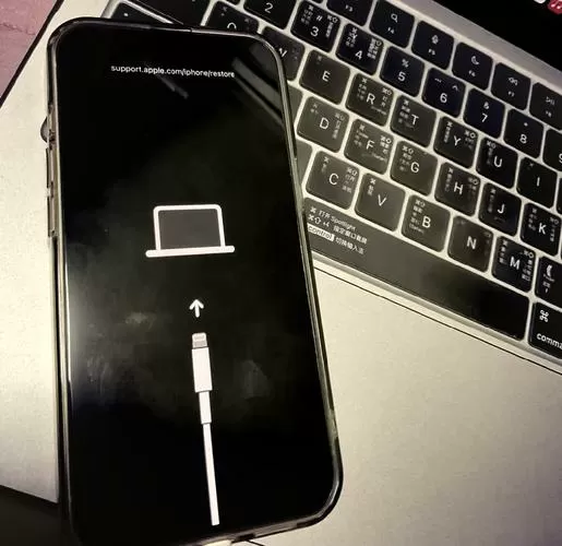 苹果进恢复模式图标