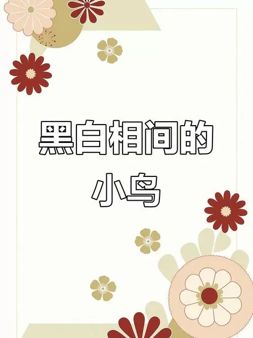 黑鸟白鸟阅读理解课文图标