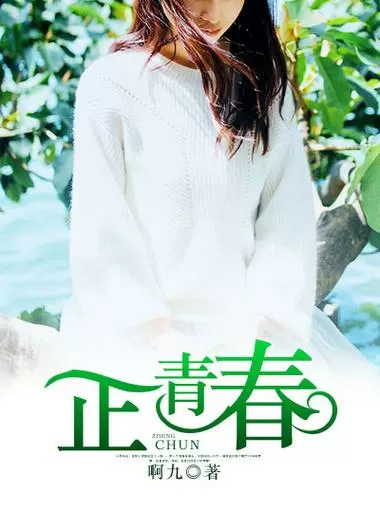 正青春小说免费阅读