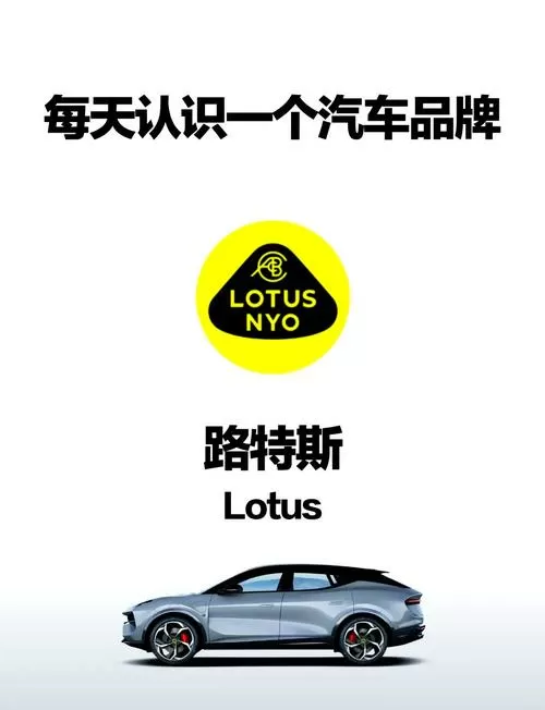 可以跑专车的有哪些车型图标