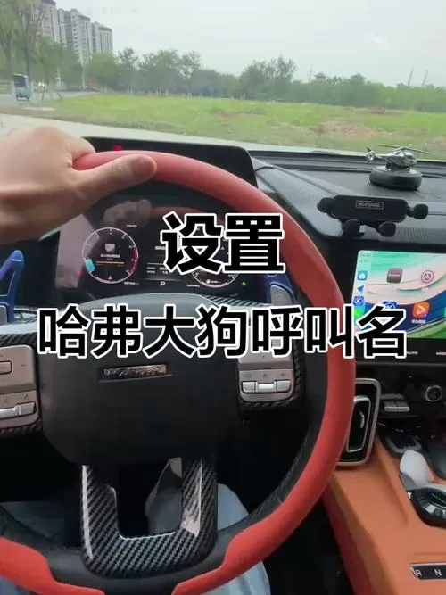 哈弗大狗怎么语音唤醒