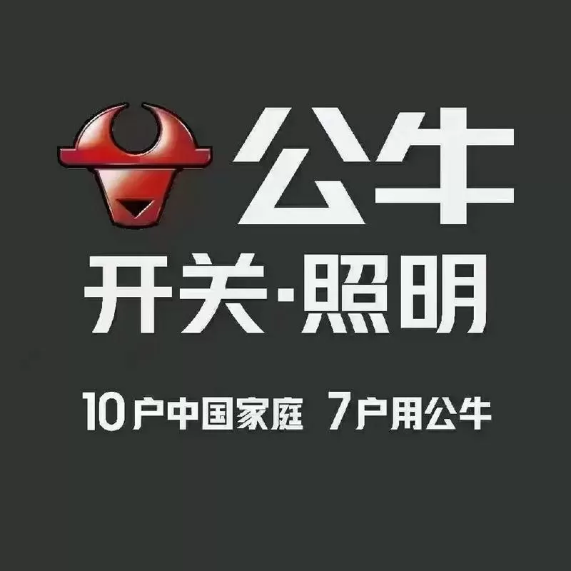 公牛装饰开关广告视频