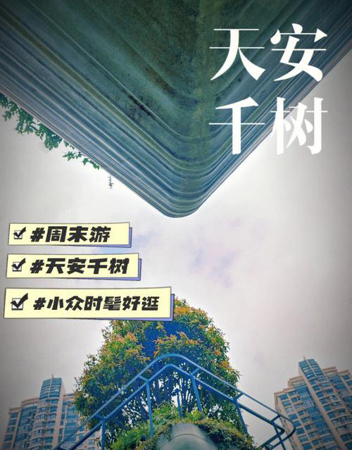 千树视频手机版图标