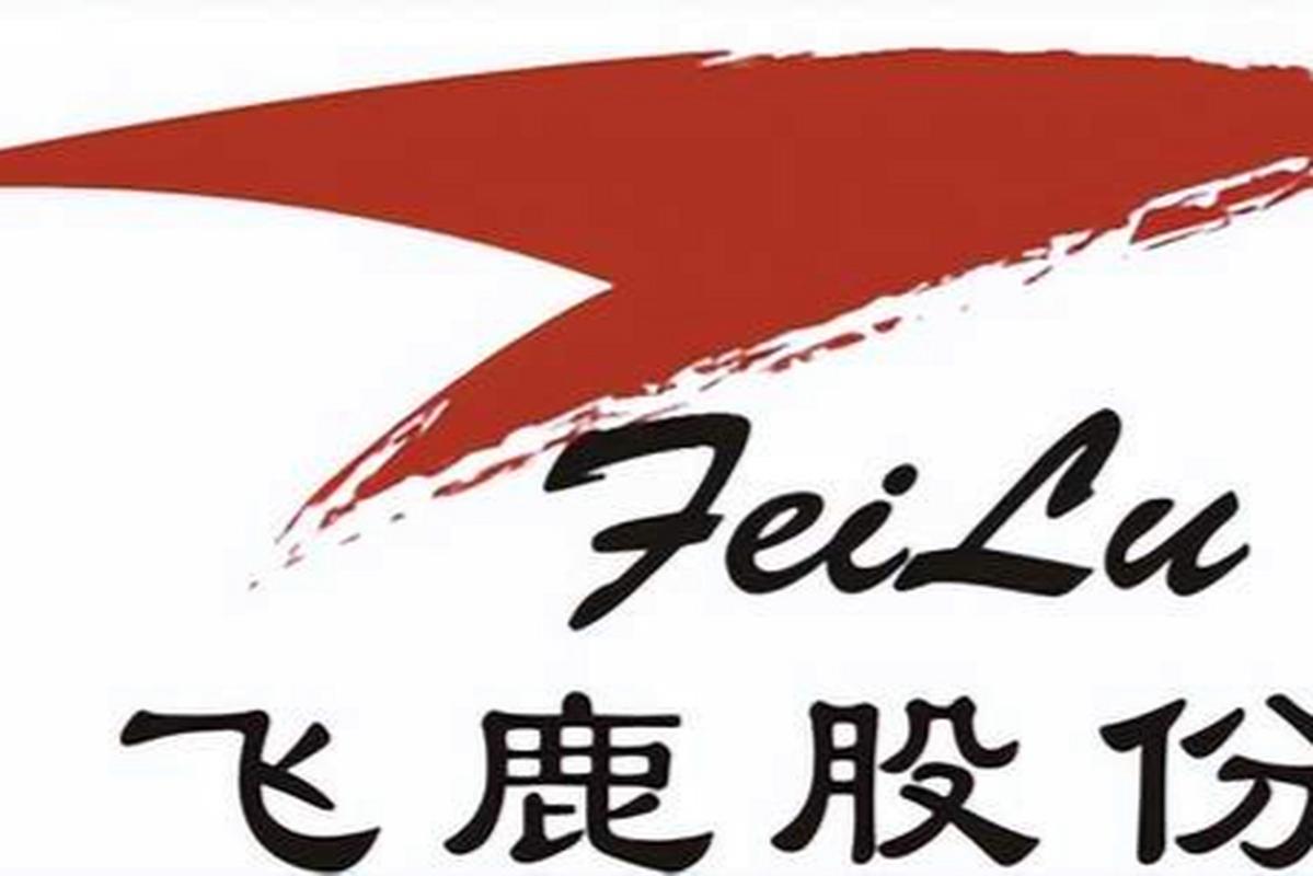 飞鹿视频图标