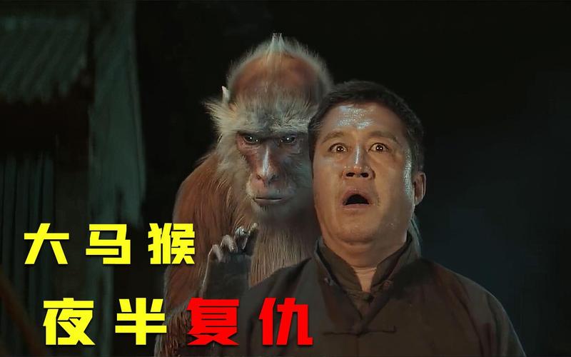 大马猴影视