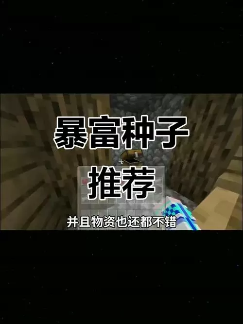 我的世界的种子大全 暴富图标