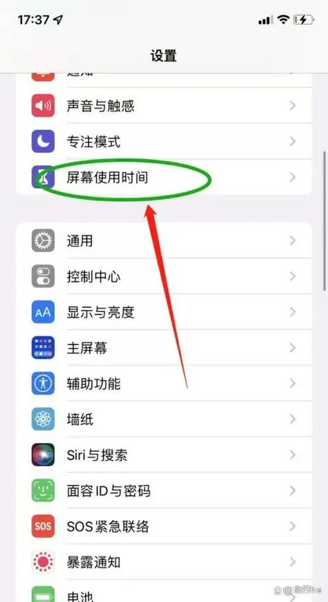 苹果怎么关闭家长控制图标