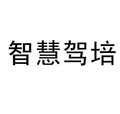 智慧驾培管理系统登录图标