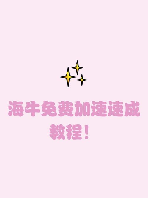 海牛加速器怎么用