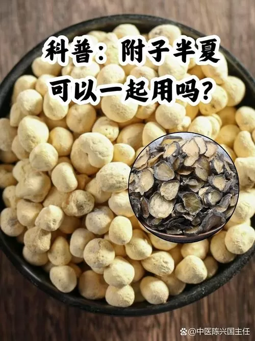 附子与姜半夏能配伍吗图标