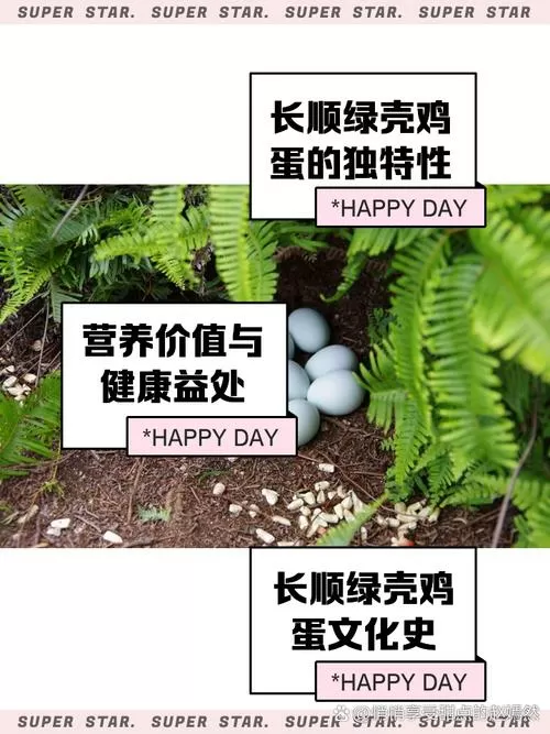 绿壳蛋是什么蛋图标