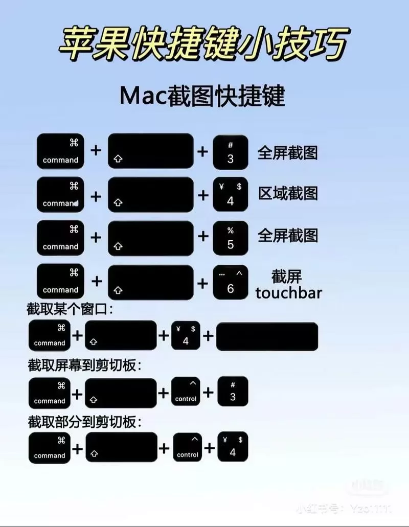 苹果视频按键设置方法图解图标