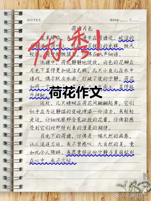 荷花日记