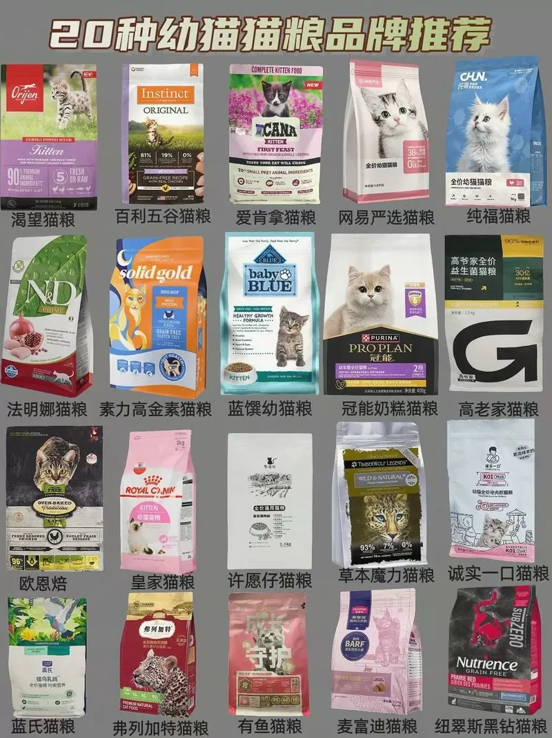 哪里买猫粮便宜又正品