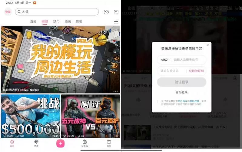 噼哩噼哩app官方网站
