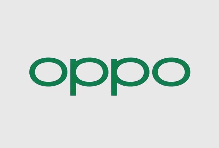 oppo手机开发者模式图标