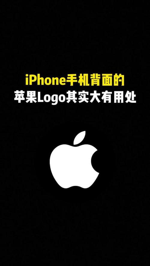 苹果手机后壳能换吗图标
