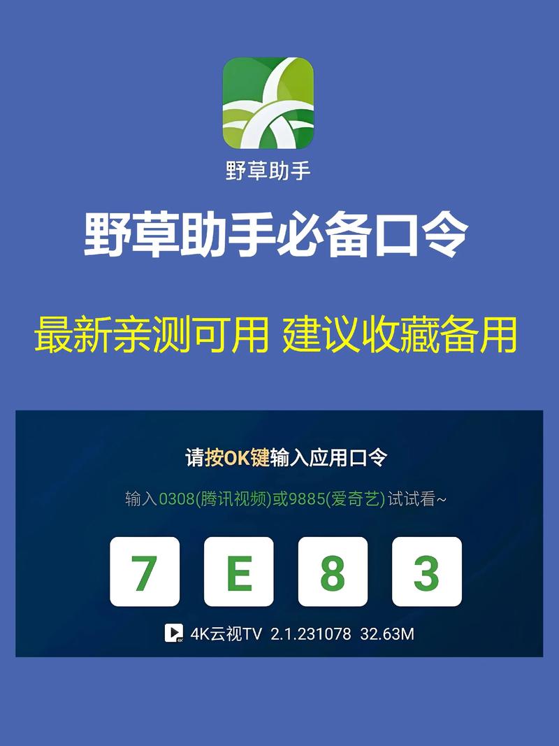 野草助手Netflix口令