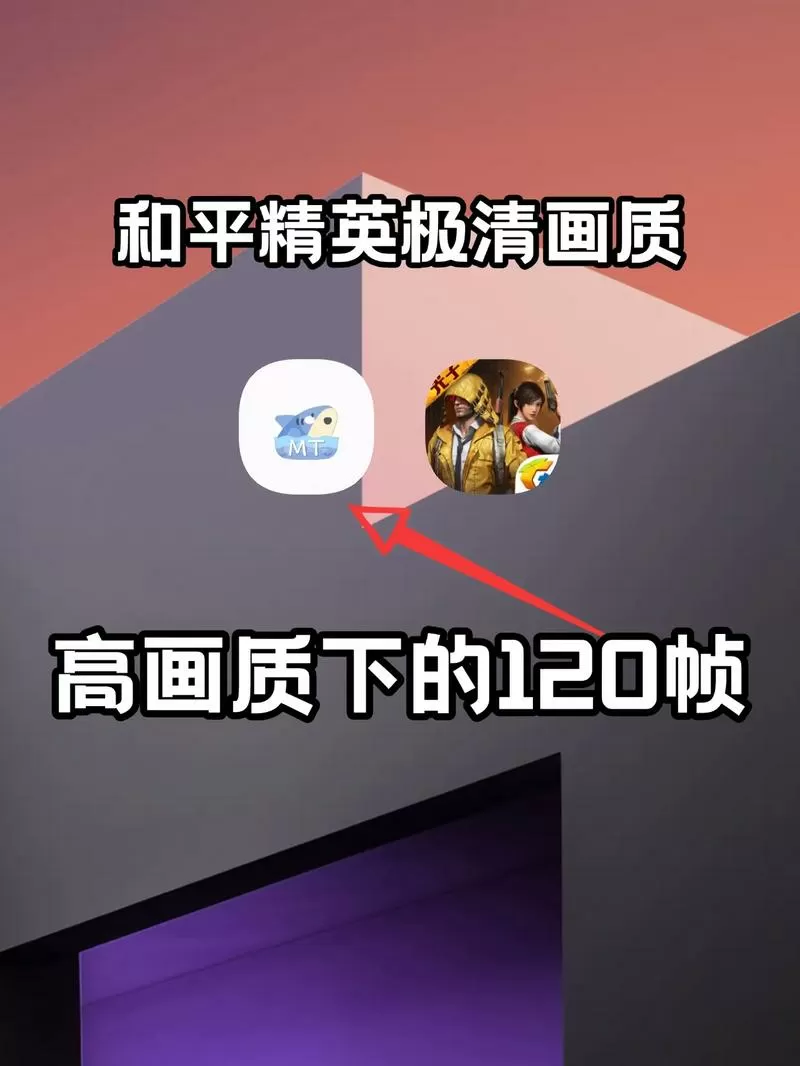 画质助手120帧+超广角