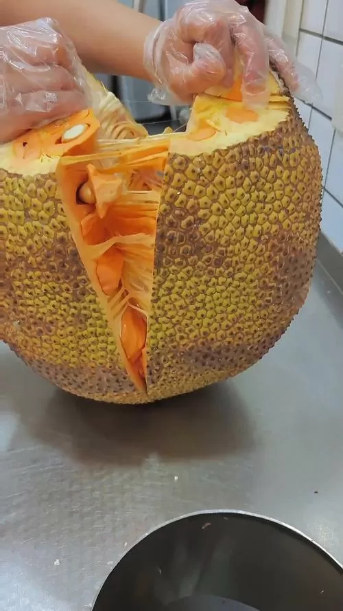 菠萝蜜视频入口