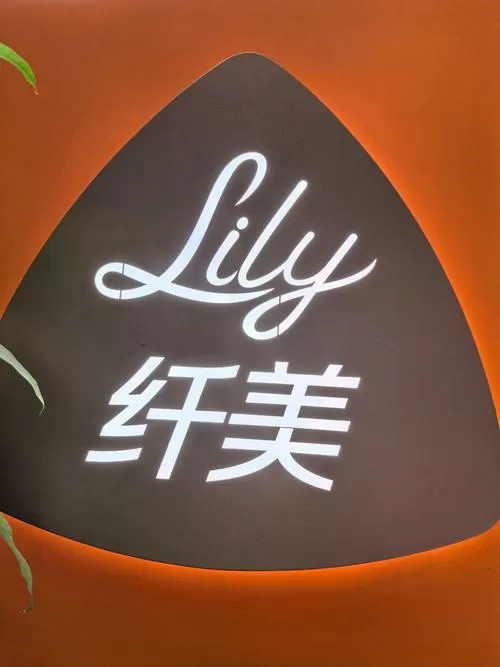 纤美图标
