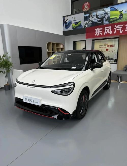 东风纳米新能源车01极速版