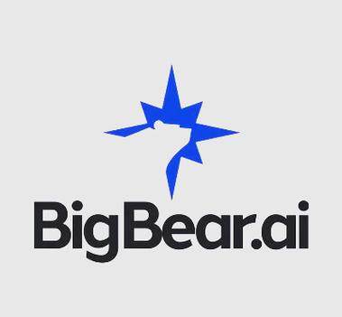 Bigbear加速器版本图标