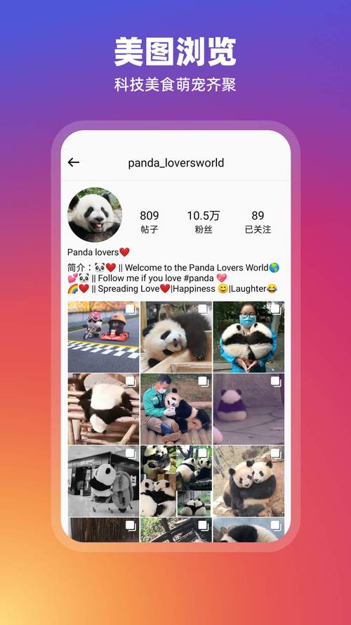 INSTAGRAM正版纯净版