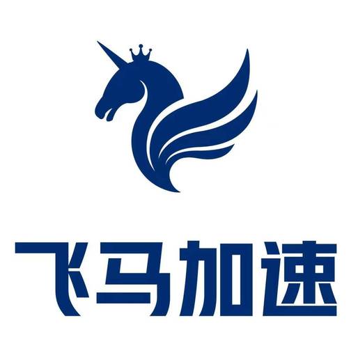 飞马加速器app官网免排队图标